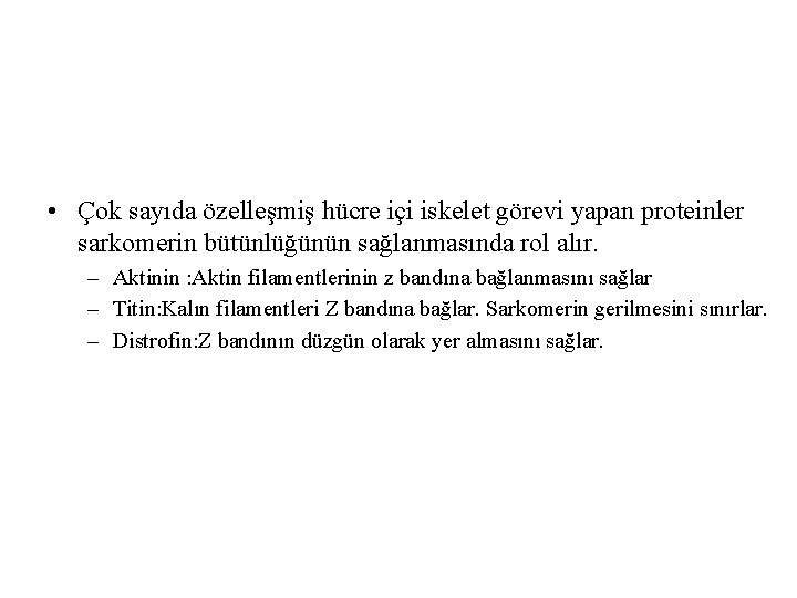  • Çok sayıda özelleşmiş hücre içi iskelet görevi yapan proteinler sarkomerin bütünlüğünün sağlanmasında