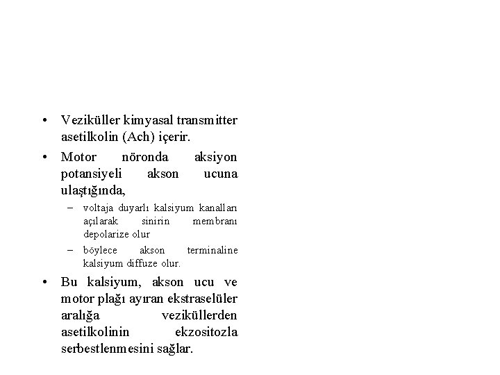  • Veziküller kimyasal transmitter asetilkolin (Ach) içerir. • Motor nöronda aksiyon potansiyeli akson