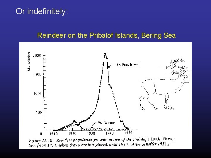 Or indefinitely: Reindeer on the Pribalof Islands, Bering Sea reindeer slide 