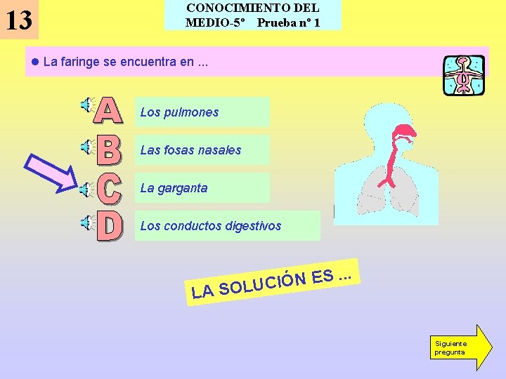 13 CONOCIMIENTO DEL MEDIO-5º Prueba nº 1 l La faringe se encuentra en. .