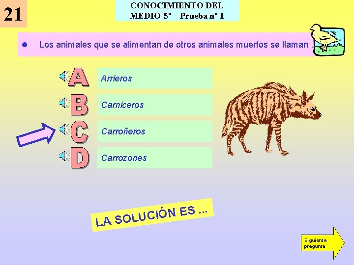 CONOCIMIENTO DEL MEDIO-5º Prueba nº 1 21 l Los animales que se alimentan de CONOCIMIENTO DEL MEDIO-5º Prueba nº 1 21 l Los animales que se alimentan de