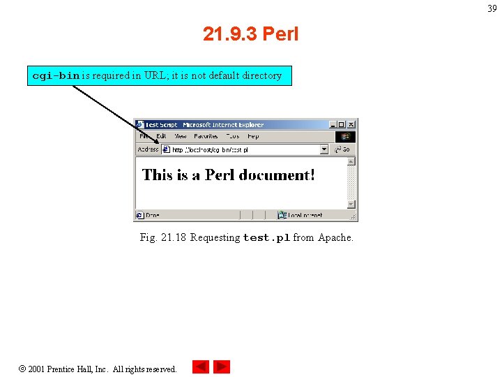 39 21. 9. 3 Perl cgi-bin is required in URL; it is not default