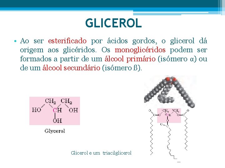 GLICEROL • Ao ser esterificado por ácidos gordos, o glicerol dá origem aos glicéridos.