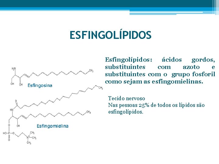 ESFINGOLÍPIDOS Esfingolípidos: ácidos gordos, substituintes com azoto e substituintes com o grupo fosforil como