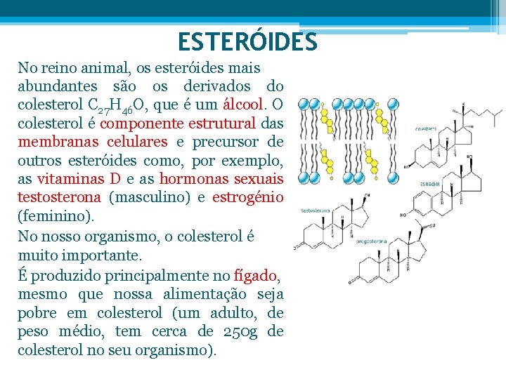 ESTERÓIDES No reino animal, os esteróides mais abundantes são os derivados do colesterol C