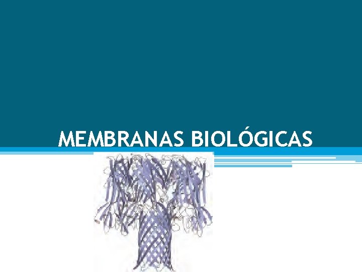 MEMBRANAS BIOLÓGICAS 