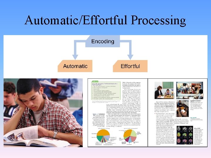 Automatic/Effortful Processing 