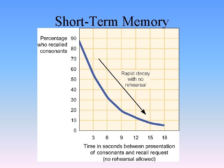 Short-Term Memory 