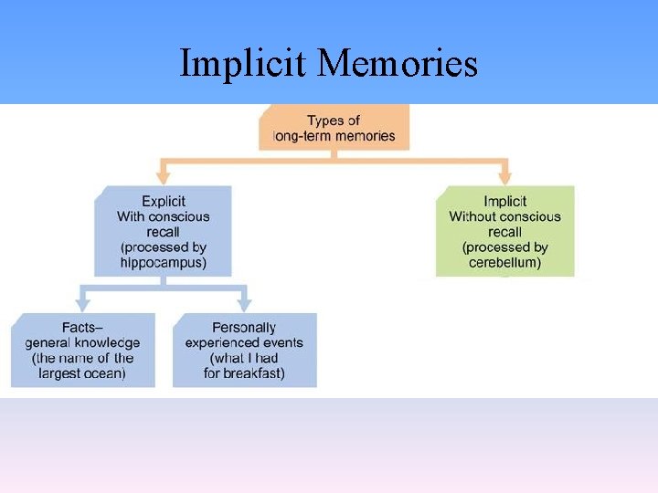 Implicit Memories 