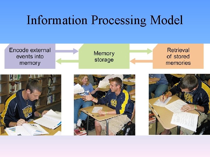 Information Processing Model 