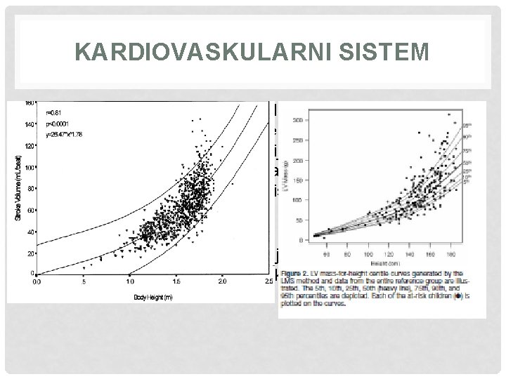 KARDIOVASKULARNI SISTEM • FS tokom mirovanja se ne razlikuje između dečaka i devojčica sve