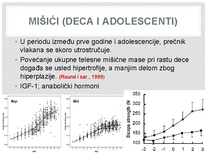 MIŠIĆI (DECA I ADOLESCENTI) • U periodu između prve godine i adolescencije, prečnik vlakana