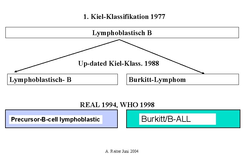 1. Kiel-Klassifikation 1977 Lymphoblastisch B Up-dated Kiel-Klass. 1988 Lymphoblastisch- B Burkitt-Lymphom REAL 1994, WHO