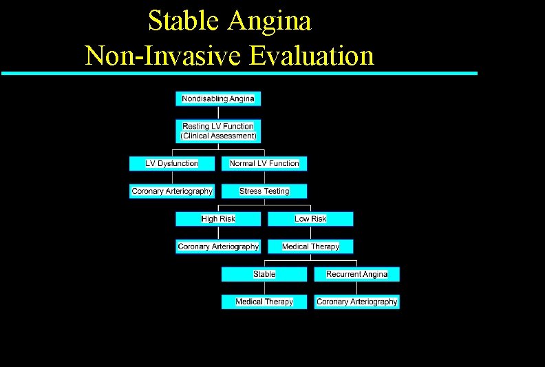 Stable Angina Non-Invasive Evaluation 