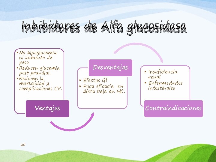 Inhibidores de Alfa glucosidasa • No hipoglucemia ni aumento de peso • Reducen glucemia