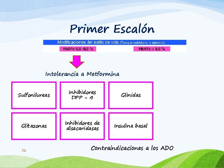 Primer Escalón Intolerancia a Metformina Sulfonilureas Inhibidores DPP - 4 Glinidas Glitazonas Inhibidores de