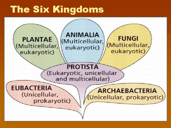 The Six Kingdoms 
