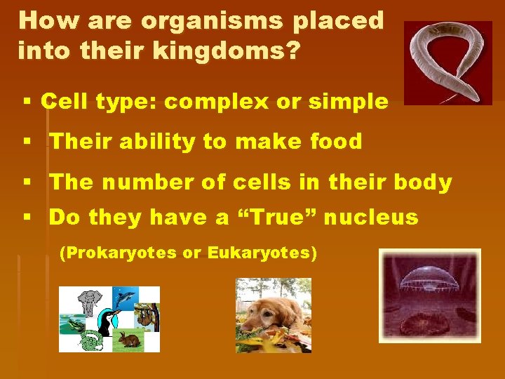 How are organisms placed into their kingdoms? § Cell type: complex or simple §