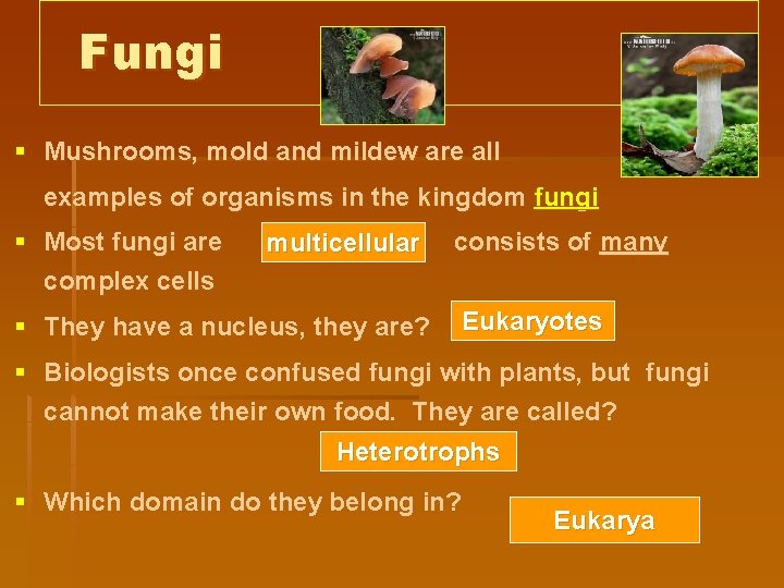 Fungi § Mushrooms, mold and mildew are all examples of organisms in the kingdom
