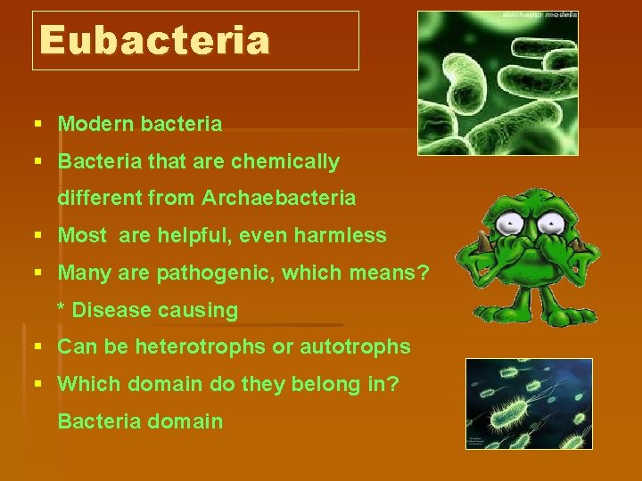 Eubacteria § Modern bacteria § Bacteria that are chemically different from Archaebacteria § Most