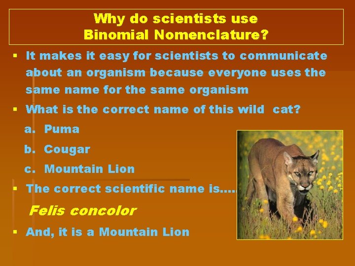 Why do scientists use Binomial Nomenclature? § It makes it easy for scientists to