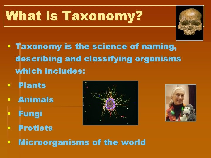 What is Taxonomy? § Taxonomy is the science of naming, describing and classifying organisms