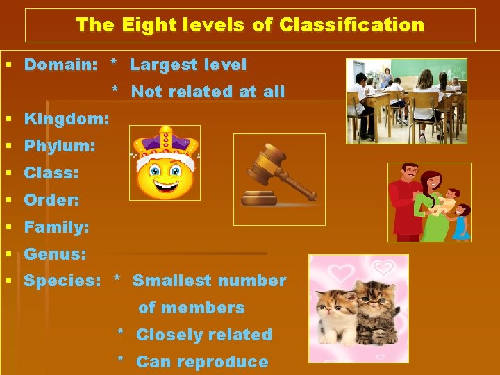 The Eight levels of Classification § Domain: * Largest level * Not related at