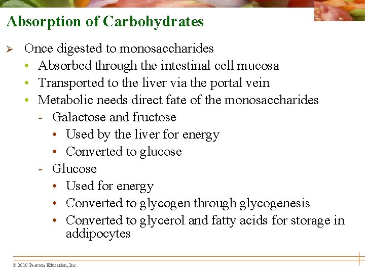 Absorption of Carbohydrates Ø Once digested to monosaccharides • Absorbed through the intestinal cell
