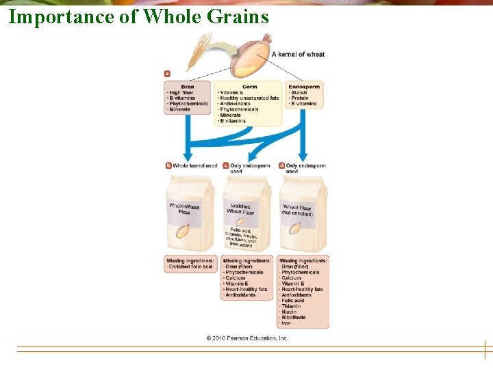 Importance of Whole Grains 