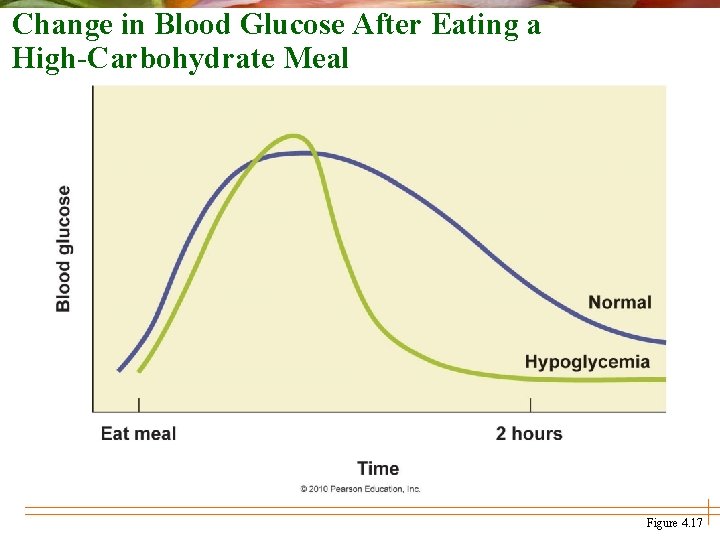 Change in Blood Glucose After Eating a High-Carbohydrate Meal Figure 4. 17 