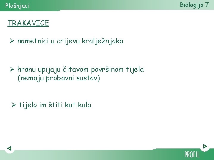 Plošnjaci TRAKAVICE Ø nametnici u crijevu kralježnjaka Ø hranu upijaju čitavom površinom tijela (nemaju