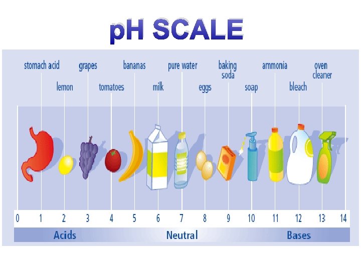p. H SCALE 