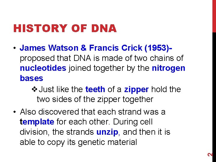 HISTORY OF DNA 2 • James Watson & Francis Crick (1953)proposed that DNA is