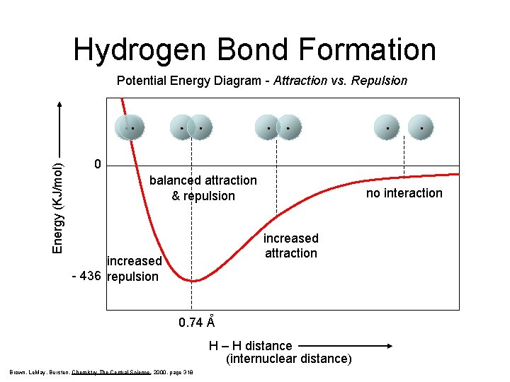 Hydrogen Bond Formation Energy (KJ/mol) Potential Energy Diagram - Attraction vs. Repulsion 0 balanced