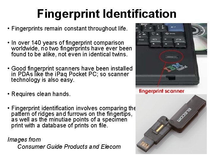 Fingerprint Identification • Fingerprints remain constant throughout life. • In over 140 years of