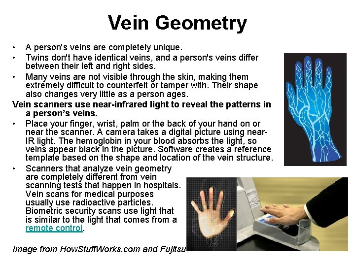 Vein Geometry • • A person's veins are completely unique. Twins don't have identical