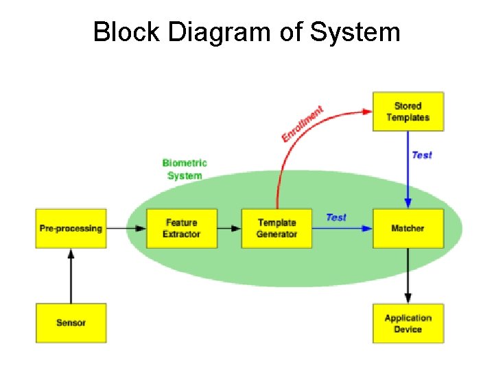 Block Diagram of System 