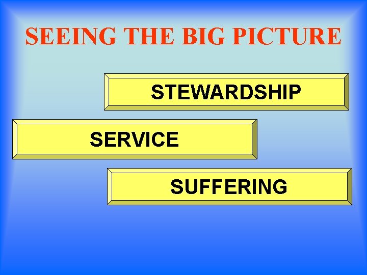 SEEING THE BIG PICTURE STEWARDSHIP SERVICE SUFFERING 
