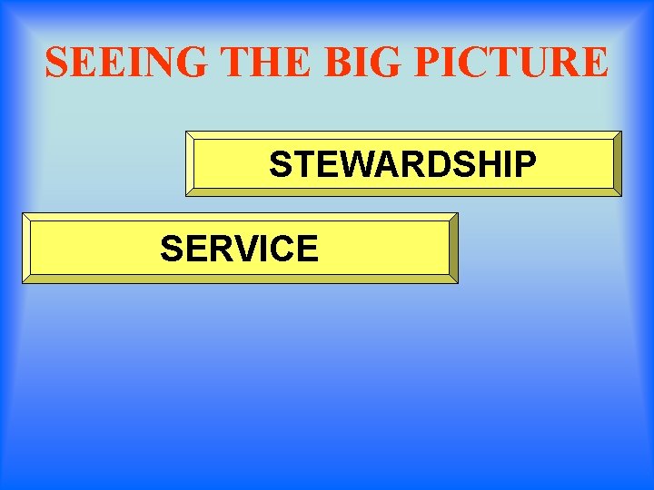 SEEING THE BIG PICTURE STEWARDSHIP SERVICE 