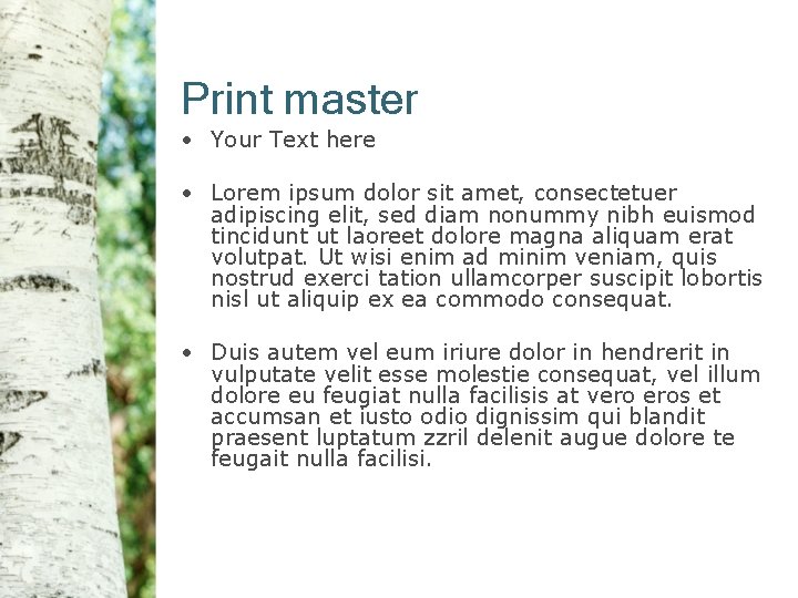 Print master • Your Text here • Lorem ipsum dolor sit amet, consectetuer adipiscing
