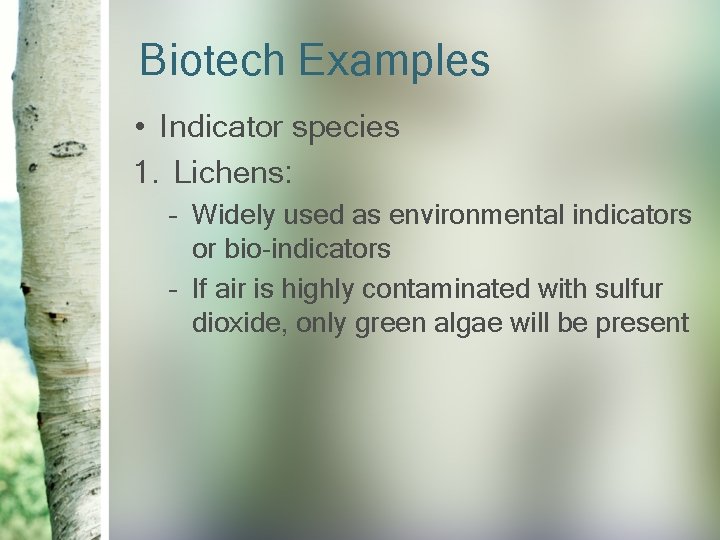 Biotech Examples • Indicator species 1. Lichens: – Widely used as environmental indicators or