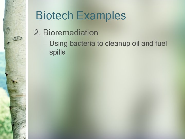 Biotech Examples 2. Bioremediation – Using bacteria to cleanup oil and fuel spills 
