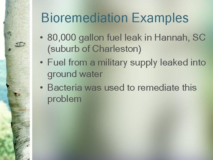 Bioremediation Examples • 80, 000 gallon fuel leak in Hannah, SC (suburb of Charleston)