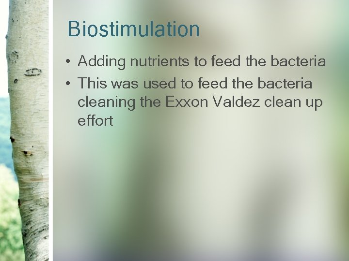 Biostimulation • Adding nutrients to feed the bacteria • This was used to feed