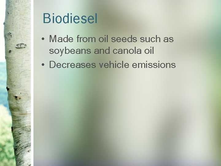 Biodiesel • Made from oil seeds such as soybeans and canola oil • Decreases