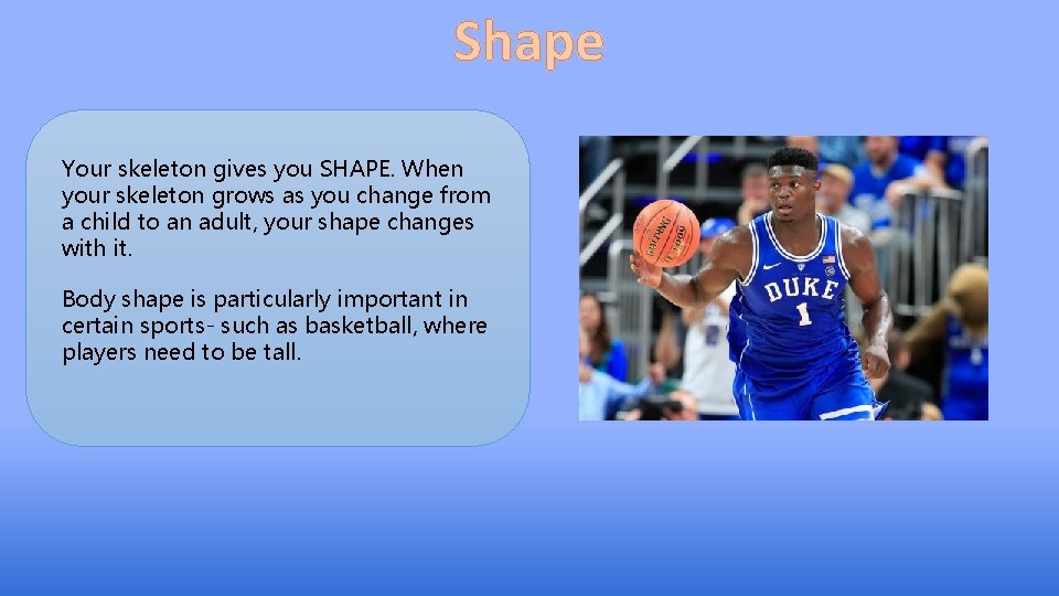 Shape Your skeleton gives you SHAPE. When your skeleton grows as you change from