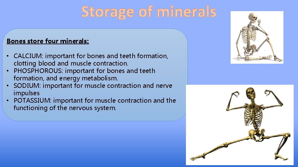Storage of minerals Bones store four minerals: • CALCIUM: important for bones and teeth