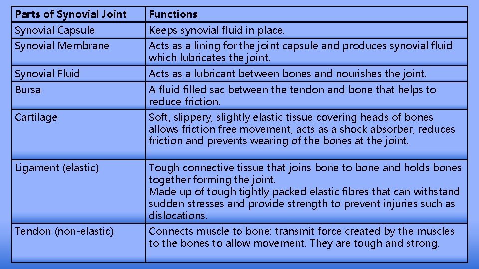 Parts of Synovial Joint Functions Synovial Capsule Keeps synovial fluid in place. Synovial Membrane