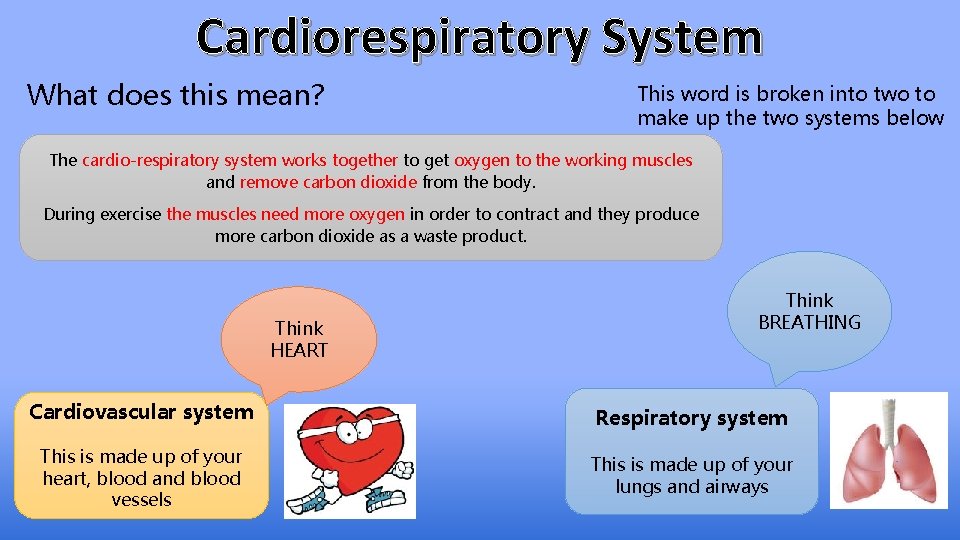 Cardiorespiratory System What does this mean? This word is broken into two to make