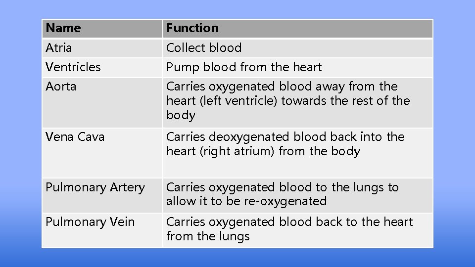 Name Function Atria Collect blood Ventricles Pump blood from the heart Aorta Carries oxygenated